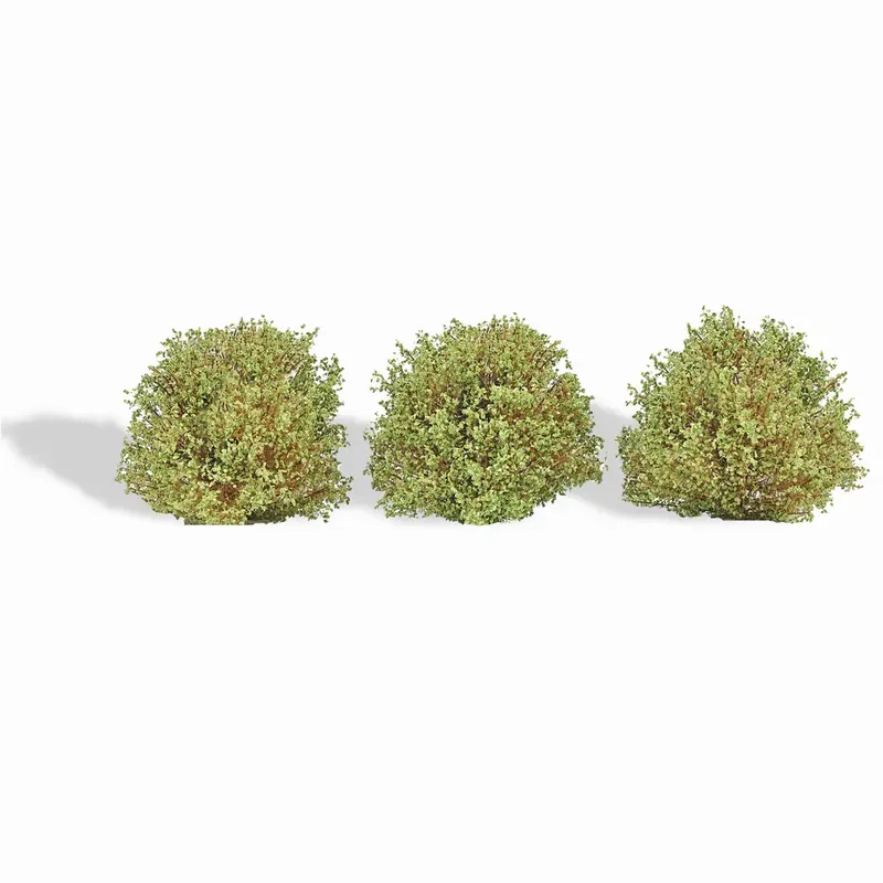 3 buissons, printemps - Busch 3606 - HO 1/87 Marque